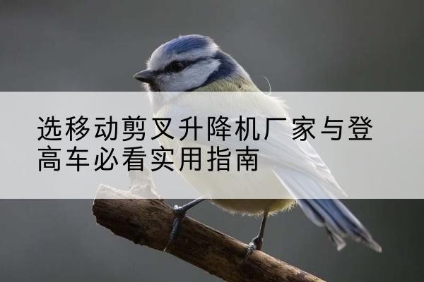 定西电动升降机厂家-选移动剪叉升降机厂家与登高车必看实用指南