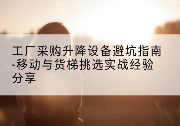 定西移动式升降机怎么选-工厂采购升降设备避坑指南-移动与货梯挑选实战经验分享