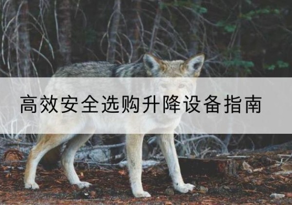 定西升降货梯厂家推荐-*安全选购升降设备指南