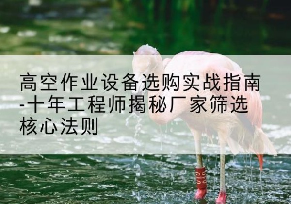 定西剪叉式升降机厂家-高空作业设备选购实战指南-十年工程师揭秘厂家筛选核心法则
